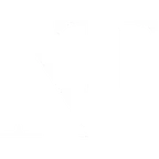 Nothing Two Lose logo