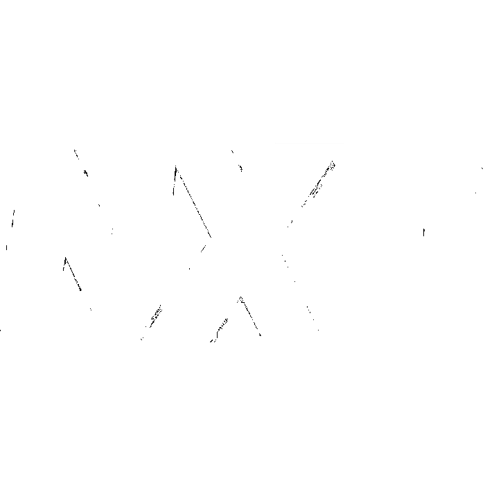 NXT Player