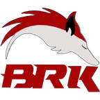 BRK E-Sports logo