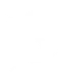 Rsk Ninja Gaming logo