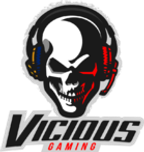 Vicious Gaming logo