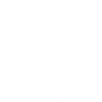Furious Gaming logo