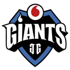Vodafone Giants logo