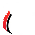 Team Ferox logo