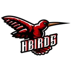 Hummingbirds logo