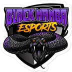 Black Mamba Esports logo