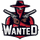 Team WanteD