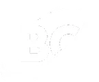 Logotipo de Bo team 