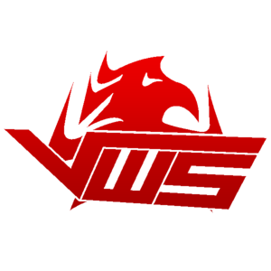 VwS Gaming logo