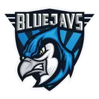 BLUEJAYS Sports logo