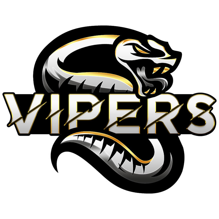 Vipers eSports logo