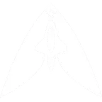 Apollo Team logo
